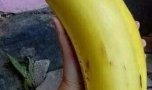 大香蕉国产情侣,甜蜜瞬间，浪漫时光