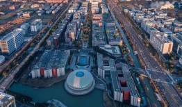 第一区国产,第一区国产生态发展概览