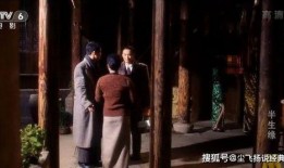 国产色播在线电影,揭秘国产影视的激情与魅力