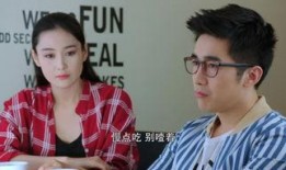 国产阿姨在线,揭秘中国家庭服务业的崛起与魅力