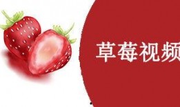 国产草莓视频,视频带你领略田园风光与美味果实