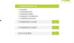 国产51页,揭秘中国科技发展的新篇章