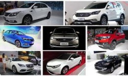 精品国产自,探索我国自主创新的辉煌成就