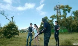 国产鸡情,探寻我国鸡肉产业的崛起之路