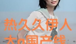 国产综合伊人,引领时尚潮流的国产综合品牌