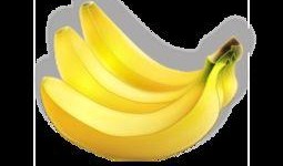 大香蕉国产免费,揭秘国产影视产业的魅力与潜力