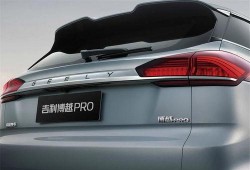 国产1级,引领科技潮流，铸就民族品牌辉煌