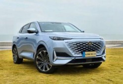 国产20p,引领科技潮流的创新之作