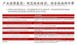 国产51页,揭秘中国科技发展的新篇章