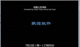 国产色视频播放器,畅享视听盛宴的智能伴侣