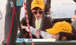 国产鸡情,探寻我国鸡肉产业的崛起之路