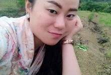 国产113页,深度解析我国科技发展的新篇章