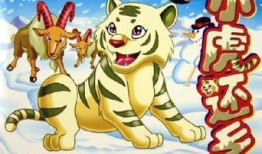 国产白虎,传承与创新中的民族品牌传奇